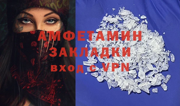 гидра Пересвет