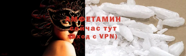 прущие грибы Переславль-Залесский