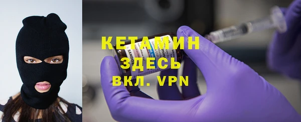прущие грибы Переславль-Залесский