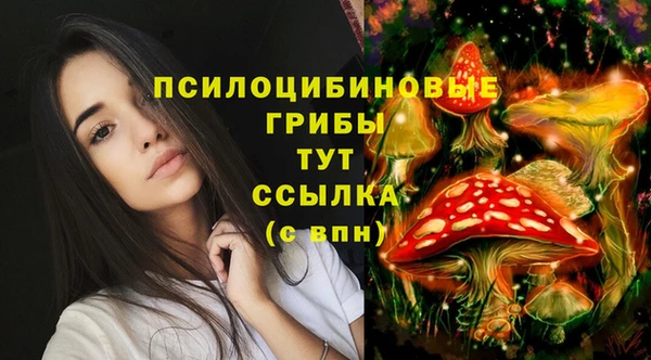 гидра Пересвет