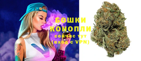 крисы Пестово