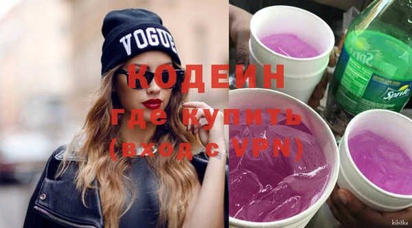 прущие грибы Переславль-Залесский