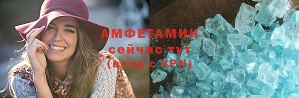 прущие грибы Переславль-Залесский