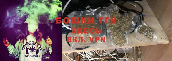 крисы Пестово