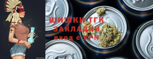 прущие грибы Переславль-Залесский