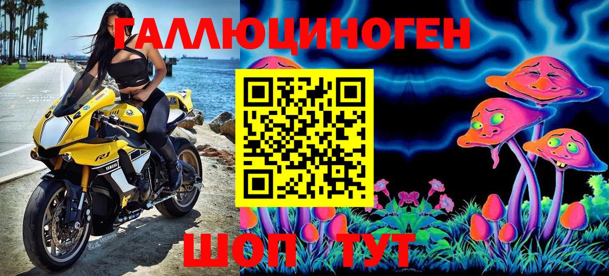 Галлюциногенные грибы Psilocybe Богородицк