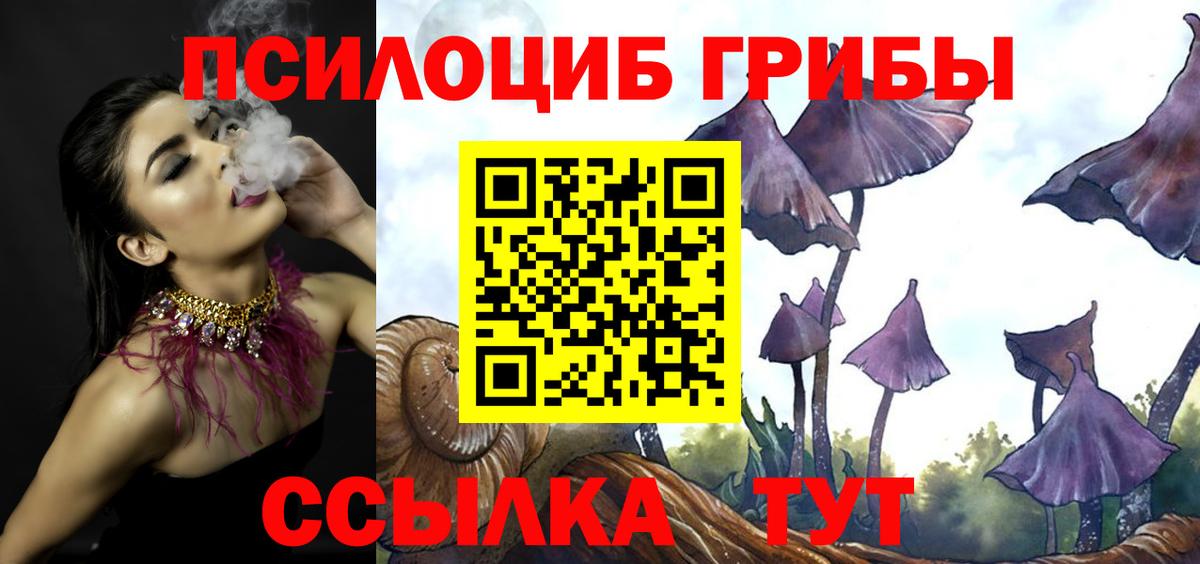 Богородицк  Псилоцибиновые грибы прущие грибы  купить наркотики сайты  Вход с VPN 